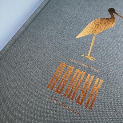 Cover Image for Каде оди домот кога ќе го заборавиме?: Промоција на една револуционерна сликовница – „Памук“ во КИЦ