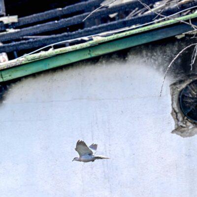 Cover Image for ВРЕМЕТО (НЕ) ЛЕЧИ СЕ‘. Премногу несреќи ја стрефија оваа мала земја, за да кажеме дека од нив нешто научивме