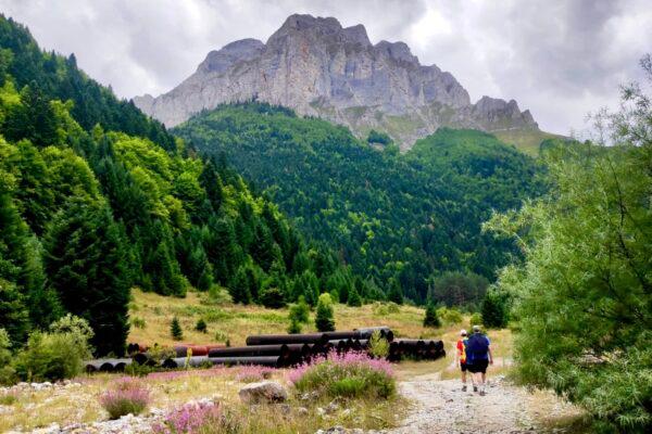 Cover Image for ЛЕШНИЦА пркоси со својата убавина пред секоја немарност и негрижа. Таа е загубена убавина среде Шар Планина што треба да се пронајде и секој посетител да се соживее со неа