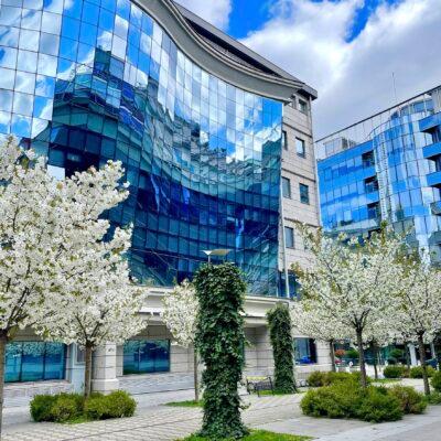 Cover Image for Дали го познаваме Скопје? Каде е сквер Јадран и кои се неговите добри страни и тајни