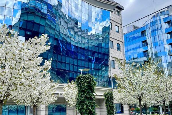 Cover Image for Дали го познаваме Скопје? Каде е сквер Јадран и кои се неговите добри страни и тајни