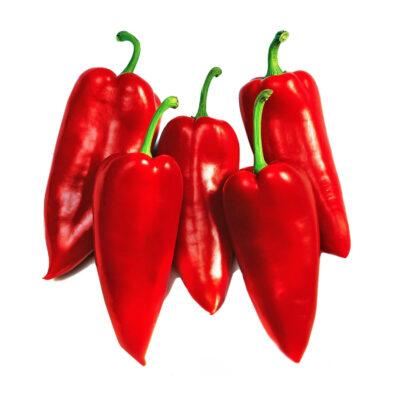 Cover Image for Тажната судбина на црвената пиперка наречена ајварка